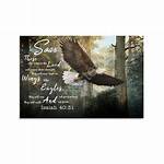 For Soar Like an Eagle?