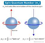 For Spin Quantum Number?