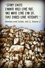 For Stony Limits Cannot Hold?