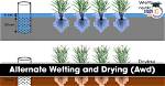 For Wetting and Drying?