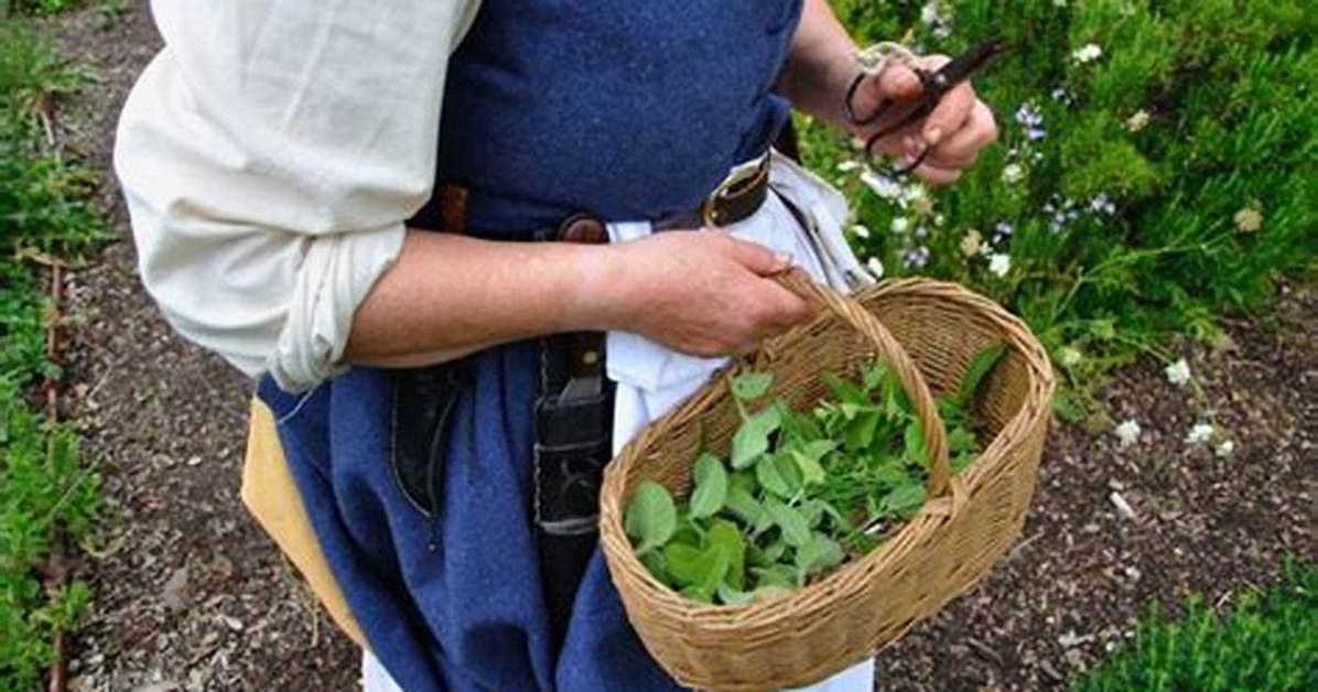 Forager Definition
