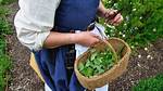 Forager Definition