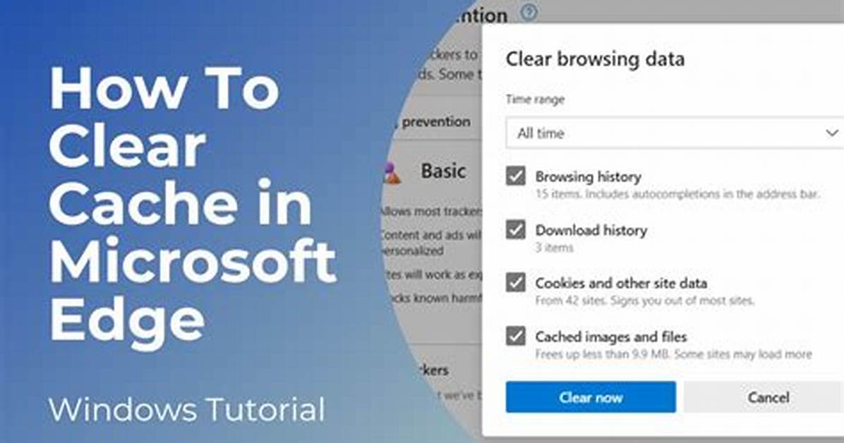 Force Browser to Clear Cache