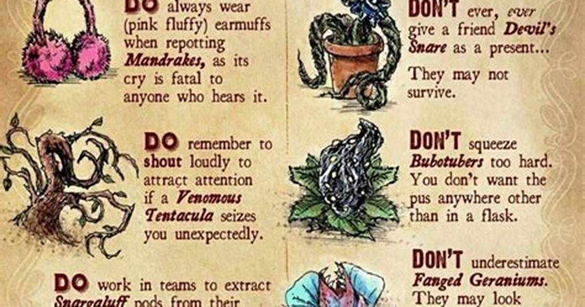 Forgetfulness Potion