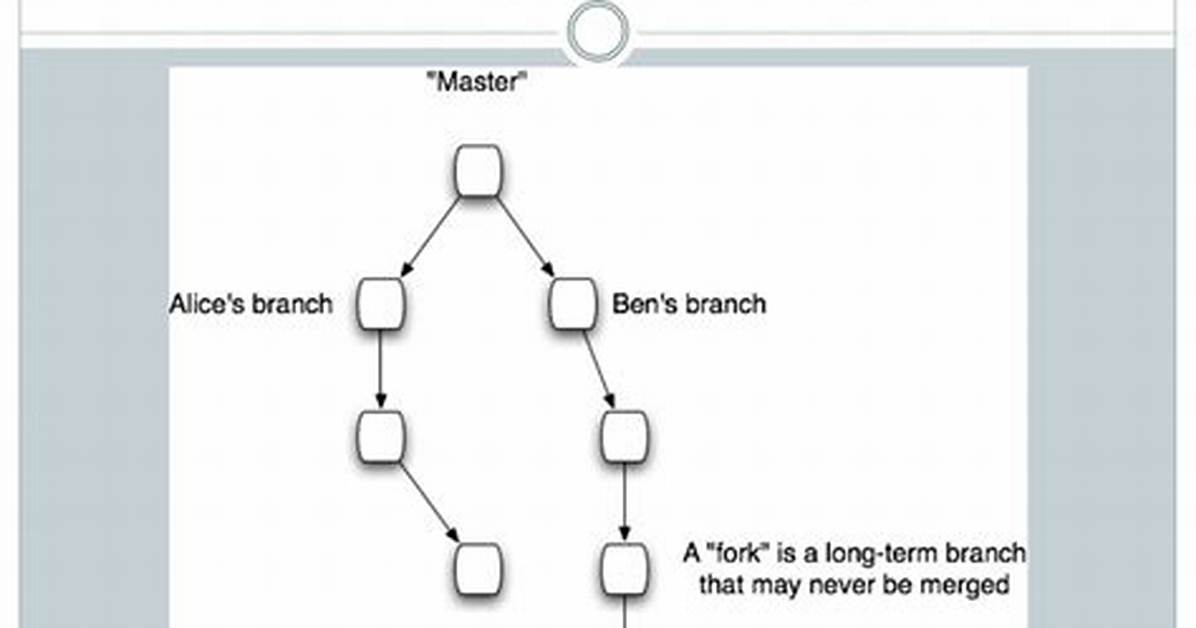 Forking Vs. Branching in Github