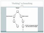 Forking Vs. Branching in Github