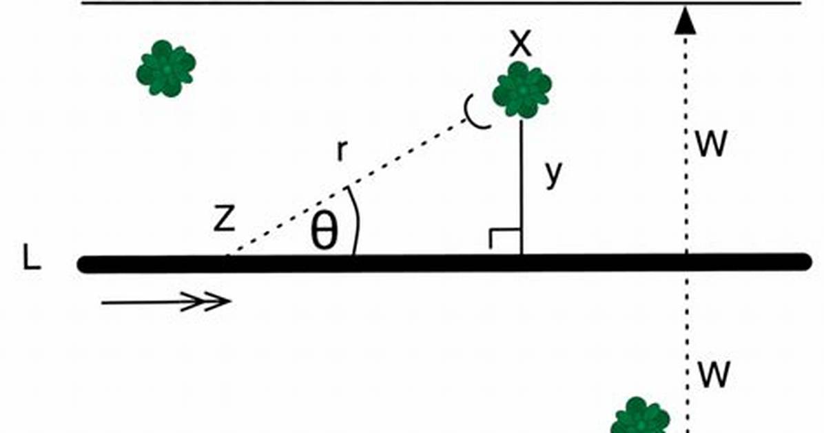 Formula for Transect Method?