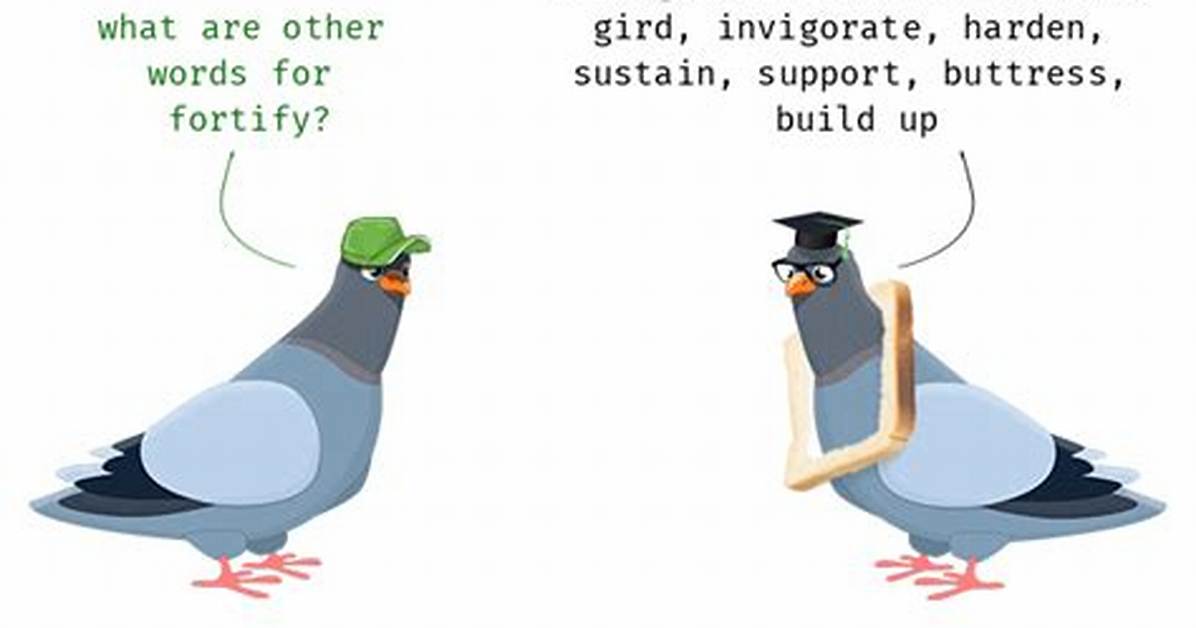 Fortify Synonym