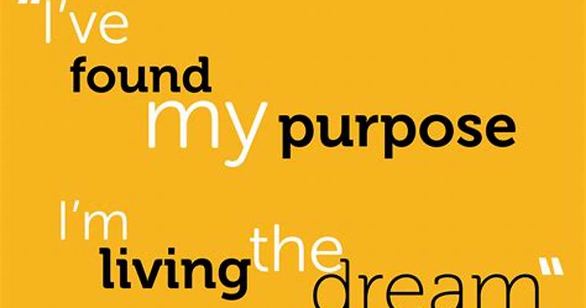 Found a Purpose For