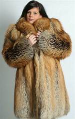 Fox's Coat