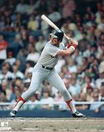 Fred Lynn