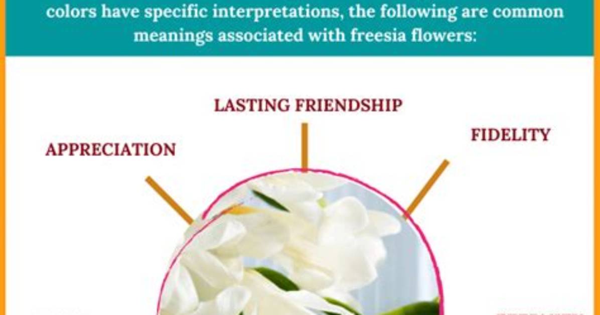 Freesia Meaning