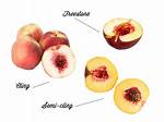 Freestone Peaches