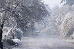 Freezing Rain
