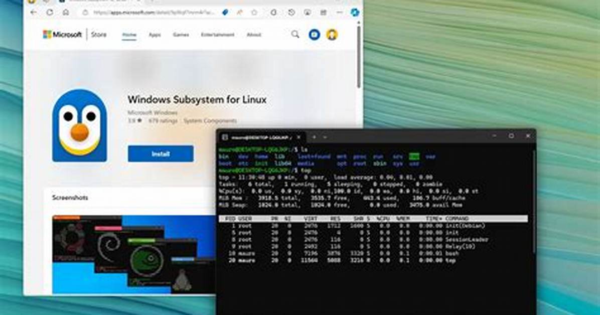 Frequent Question: Can Linux Subsystem Access Windows Files?