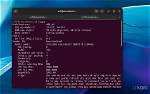 Frequent Question: Can Ubuntu Run Windows Programs?
