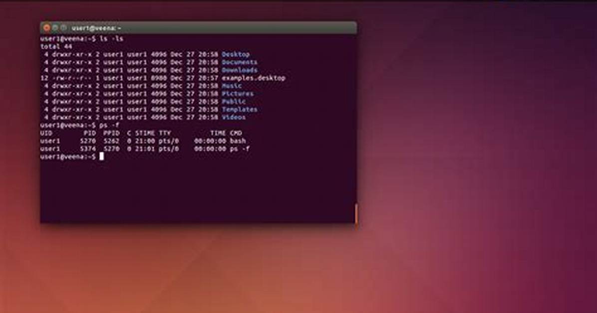 Frequent Question: Does Linux Terminal Use Bash?