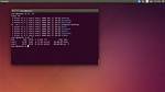 Frequent Question: Does Linux Terminal Use Bash?