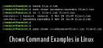 Frequent Question: How Use Chown Linux?
