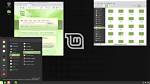 Frequent Question: What Does Linux Mint Run on?