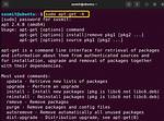 Frequent Question: What Is Apt Get Command in Ubuntu?