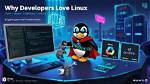 Frequent Question: Who Pays Linux Developers?