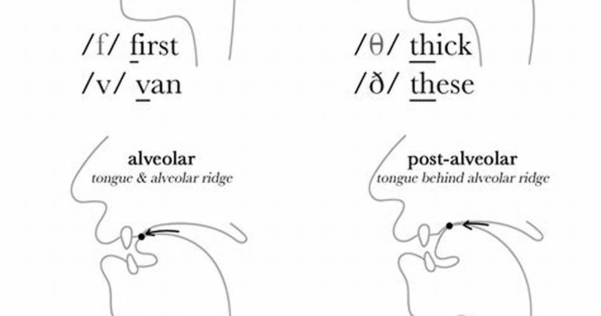 Fricative Sounds