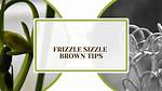 Frizzle Sizzle Brown Tips
