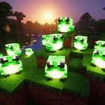 Frog Light