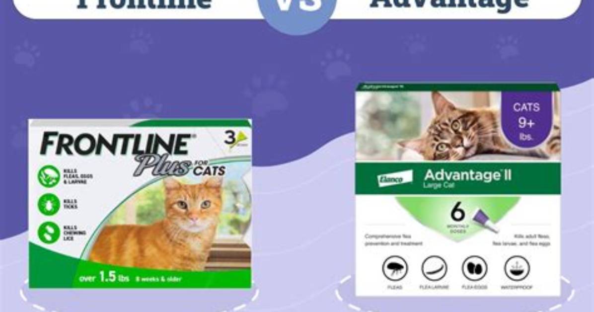 Frontline vs Advantage