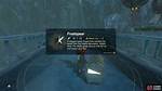 Frostspear Botw