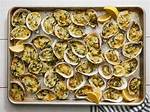 Frozen Oysters