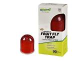 Fruit Fly Trap Walmart