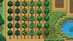Fruit Trees Stardew