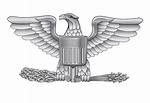 Full Bird Colonel