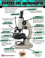 Funcion Del Microscopio
