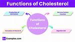 Function of Cholesterol