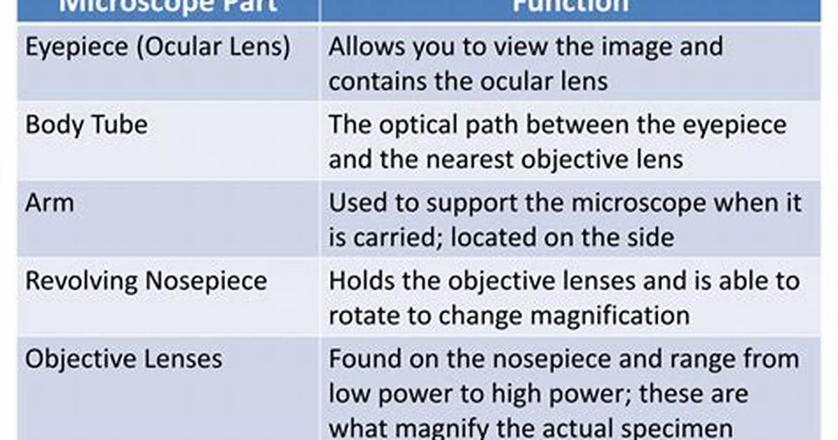 Function of Microscope
