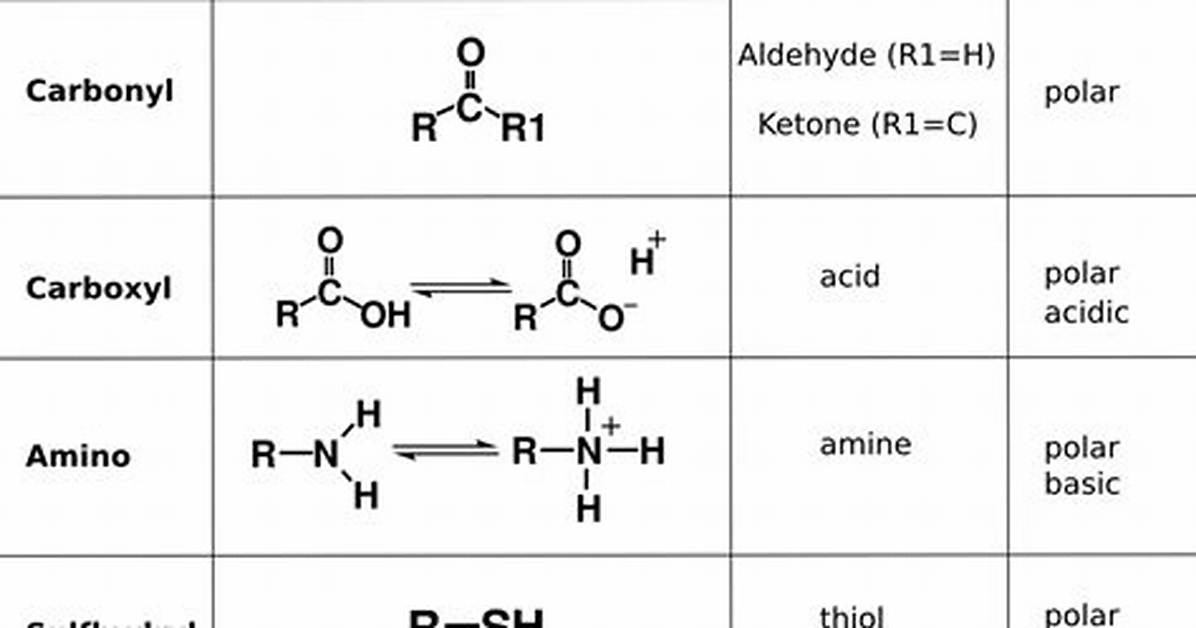 Functional Groups Biology