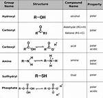 Functional Groups Biology