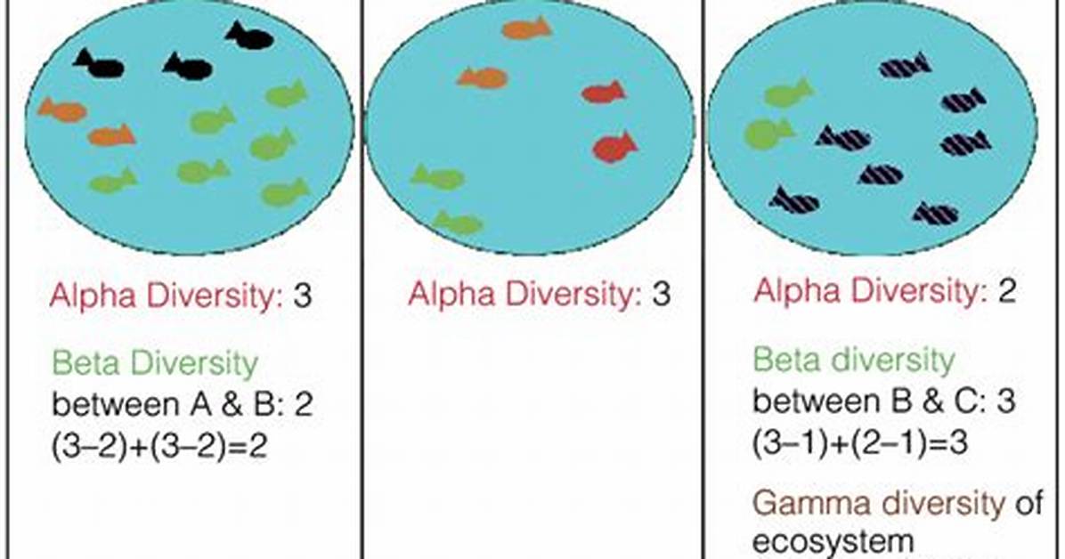 Gamma Diversity