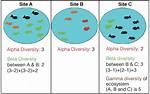 Gamma Diversity
