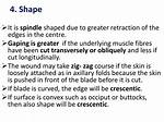 Gaping Cut