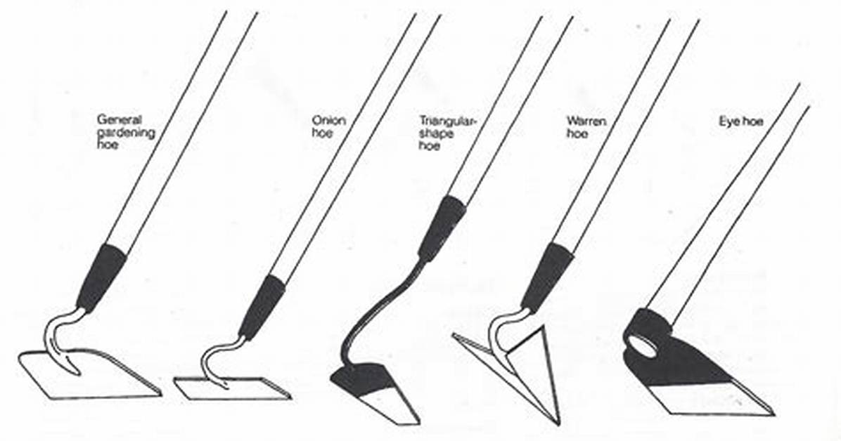Garden Hoe Types