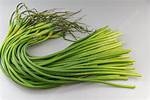 Garlic Sprouts