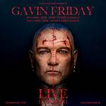 Gavin Friday