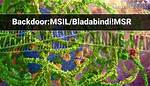 Generic. Msil. Bladabindi. E221Cc75