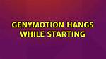 Genymotion Hangs While Starting