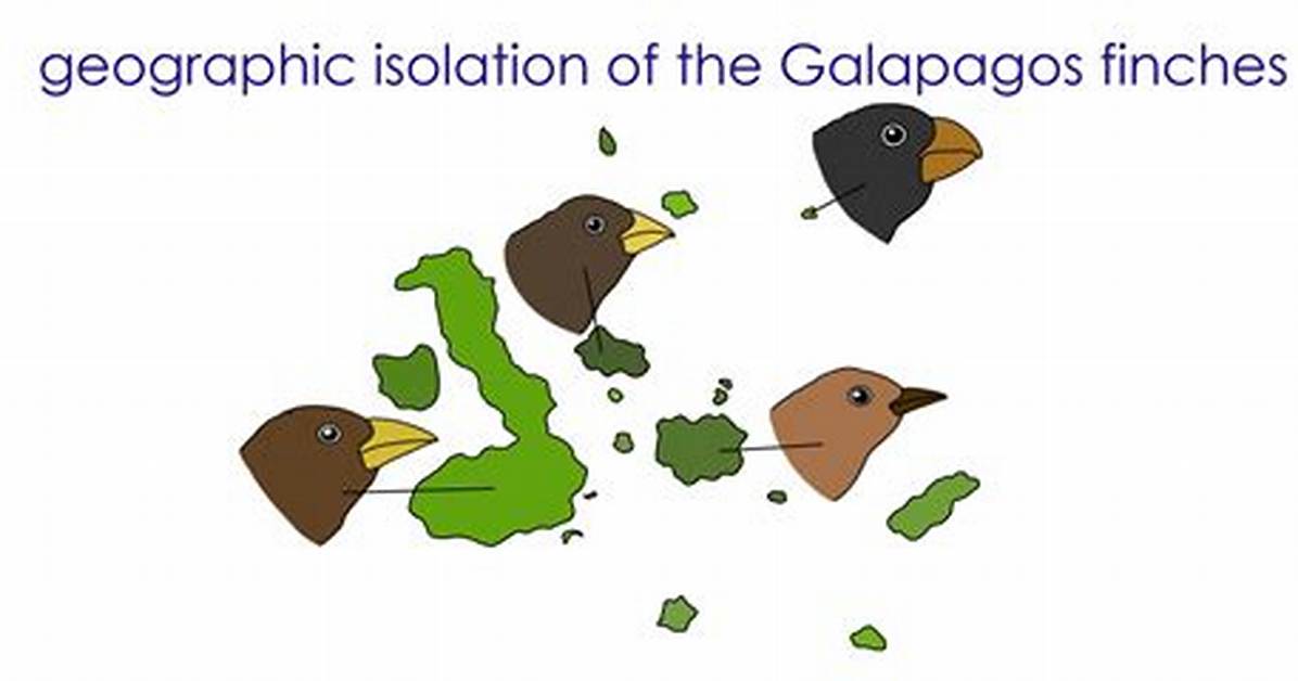 Geographic Isolation Examples