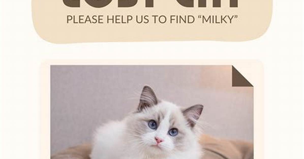 Get Lost Kitty!